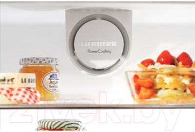 Холодильник с морозильником Liebherr C 4023