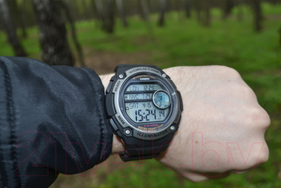 Часы наручные мужские Casio AE-3000W-1AVEF
