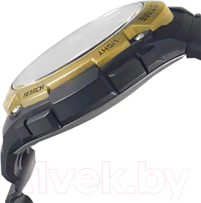 Часы наручные мужские Casio AE-3000W-9AVEF