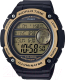 Часы наручные мужские Casio AE-3000W-9AVEF - 
