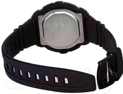 Часы наручные мужские Casio HDD-600-1AVEF