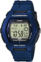 Часы наручные мужские Casio HDD-600C-2AVEF - 