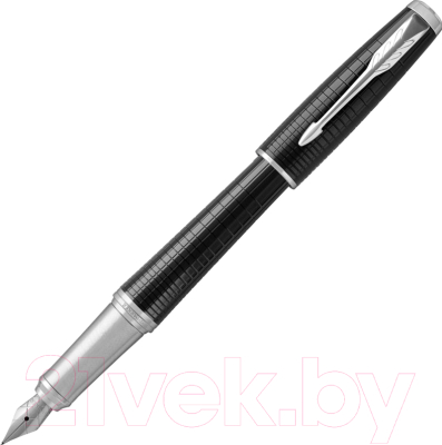 

Ручка перьевая имиджевая Parker, Urban 2016 Premium Ebony Metal CT F312 1931613