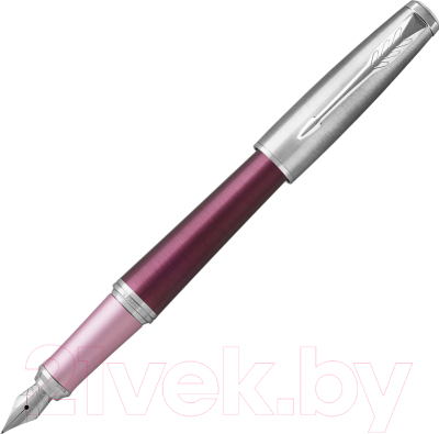 

Ручка перьевая имиджевая Parker, Urban 2016 Premium Dark Purple CT 1931567