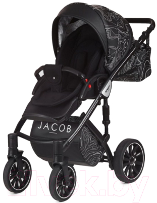 Детская универсальная коляска Anex Sport 2 в 1 (AB07/jacob)