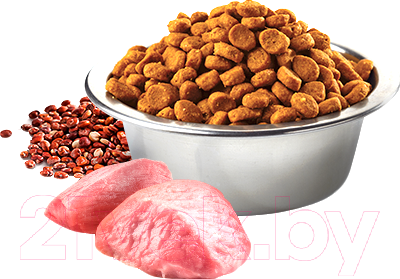 Сухой корм для кошек Farmina N&D Grain Free Quinoa Digestion Lamb, Fennel (300г)