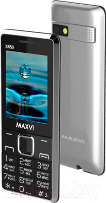 Мобильный телефон Maxvi X650 (серебристый)