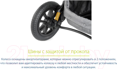 Детская универсальная коляска Chicco Trio Activ3 Kit Car (gray)
