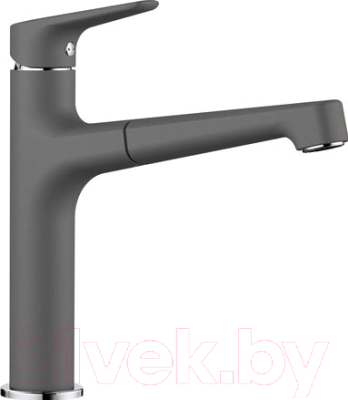 Изображение товара Смеситель Blanco Felisa-S / 520346