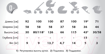 Изображение товара Детская универсальная коляска Verdi Pepe Eco Plus Comfort 2 в 1 (5)