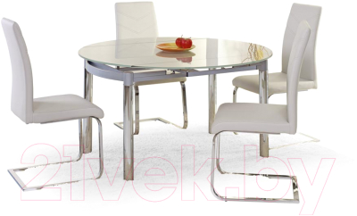 Обеденный стол Halmar Nestor 130x80 (прозрачный/серый)