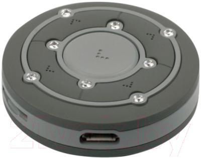 MP3-плеер Ritmix RF-2850 (8Gb, серый)