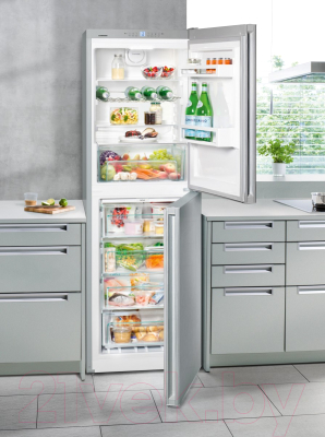 Холодильник с морозильником Liebherr CNel 4213