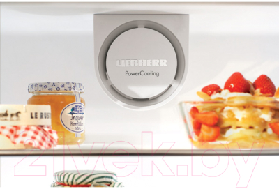 Холодильник с морозильником Liebherr CNPes 5156