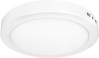 

Светильник Truenergy, 12W 4000K 10102