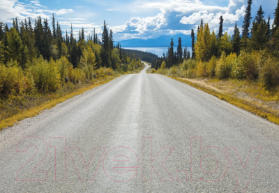 

Фотообои листовые Komar, Atlin Road 8-532