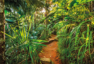 

Фотообои листовые Komar, Jungle Trail 8-989