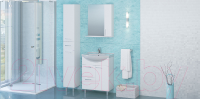 Шкаф с зеркалом для ванной АВН Эко+ 60 / 13.30 (3)