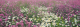 Фотообои листовые Твоя планета Поляна цветов (388x136) - 