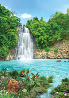 Фотообои листовые Твоя планета Тропический водопад