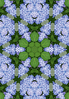 Фотообои листовые Твоя планета Цветочный калейдоскоп (194x272) - 