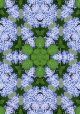 Фотообои листовые Твоя планета Цветочный калейдоскоп (194x272)