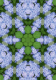 Фотообои листовые Твоя планета Цветочный калейдоскоп (194x272) - 