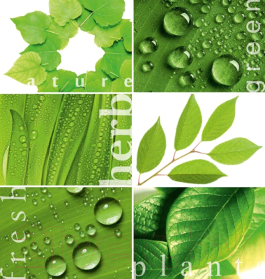 Фотообои листовые Твоя планета Зеленая мозаика (194x204)