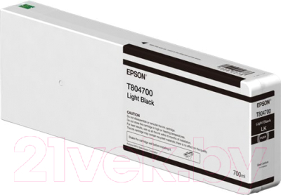 Картридж Epson C13T804700