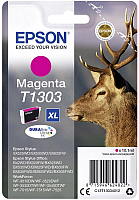 

Картридж Epson, C13T13034012