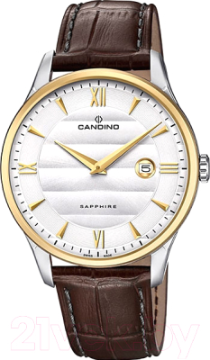 

Часы наручные мужские Candino, C4640/1
