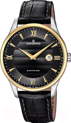 

Часы наручные мужские Candino, C4640/4