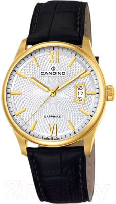 

Часы наручные мужские Candino, C4693/1