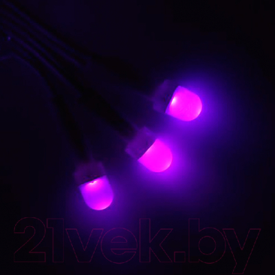 Светодиодная гирлянда Luazon Метраж улично-комнатная 1080546 (10м, фиолетовый)