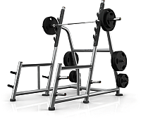 

Силовая рама Matrix Fitness, Magnum A81-03