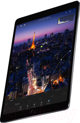 Планшет Apple iPad Pro 12.9 256GB LTE / MPA42 (серый космос)