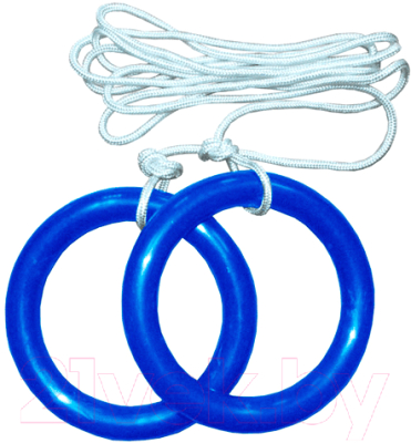 Кольца для спортивного комплекса Формула здоровья КГ01А (синий)