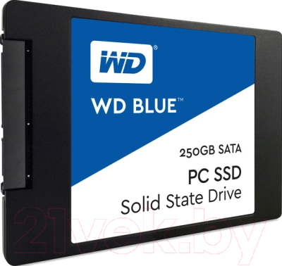 SSD диск Western Digital Blue 3D NAND 250GB (WDS250G2B0A)