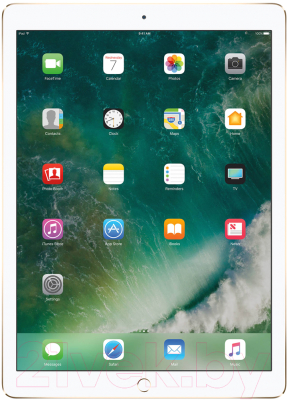 Планшет Apple iPad Pro 12.9 512GB / MPL12 (золото)
