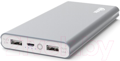 Портативное зарядное устройство Ritmix RPB-12077P (серый)
