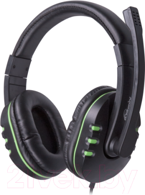 Наушники-гарнитура Ritmix RH-555M