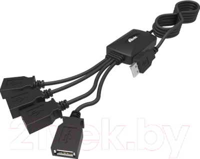 USB-хаб Ritmix CR-2405 (черный)