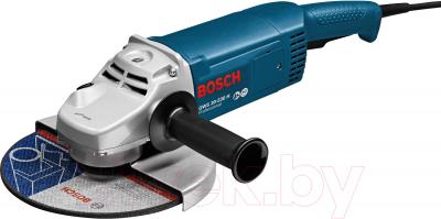 Профессиональная угловая шлифмашина Bosch GWS 20-230 H Professional (0.601.850.107) - общий вид