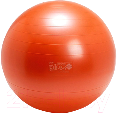 Фитбол гладкий Gymnic Plus 95.25 (оранжевый)