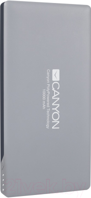 Портативное зарядное устройство Canyon CNS-TPBP10DG