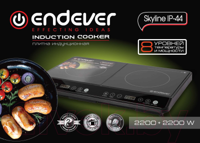 Электрическая настольная плита Endever Skyline IP-44 (черный)
