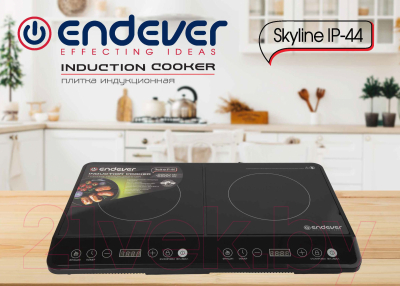 Электрическая настольная плита Endever Skyline IP-44 (черный)