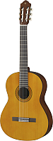 Акустическая гитара Yamaha C-40 (T) - 