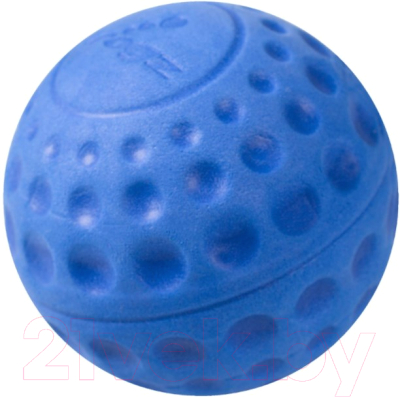 Игрушка для собак Rogz Asteroidz Medium / RAS02B (синий)