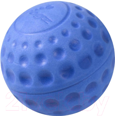 Игрушка для собак Rogz Asteroidz Large / RAS04B (синий)